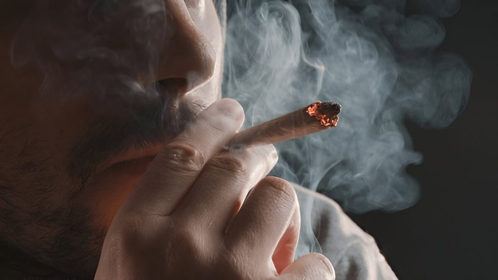 Cuánto dura la marihuana en el cuerpo